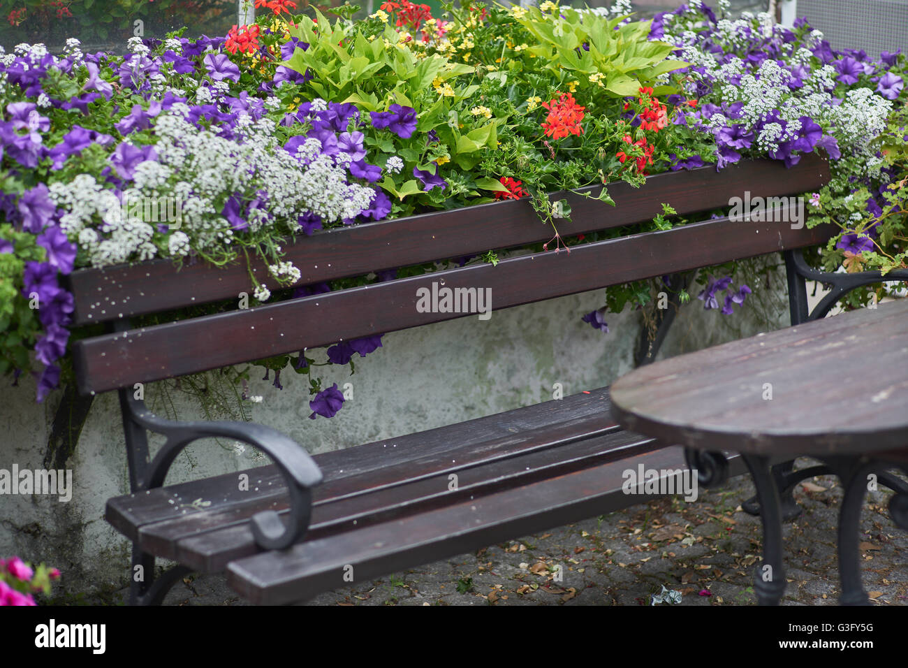 Banc de parc et une table entourée de fleurs Banque D'Images