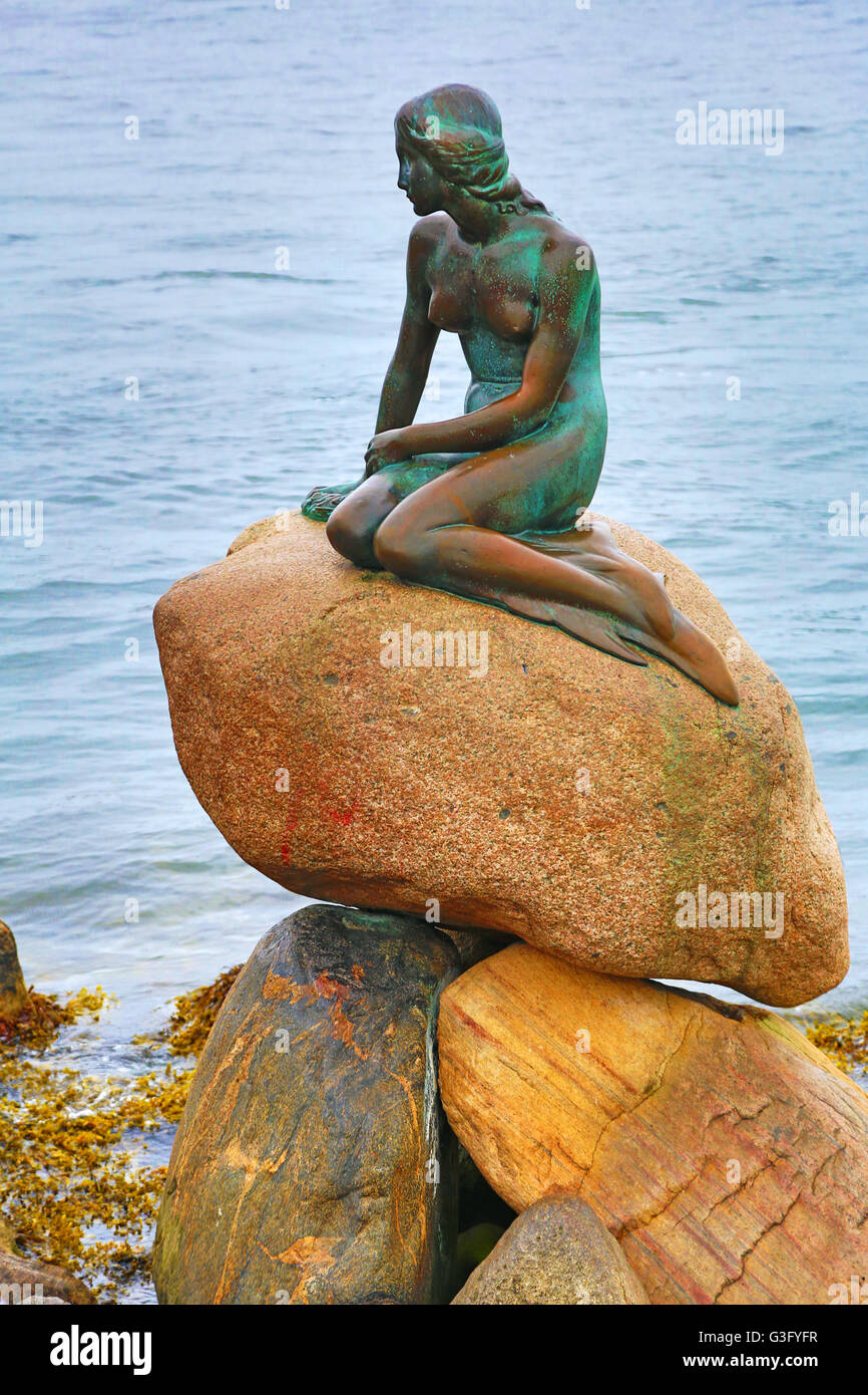 La statue de la petite sirène de Copenhague, Danemark Banque D'Images