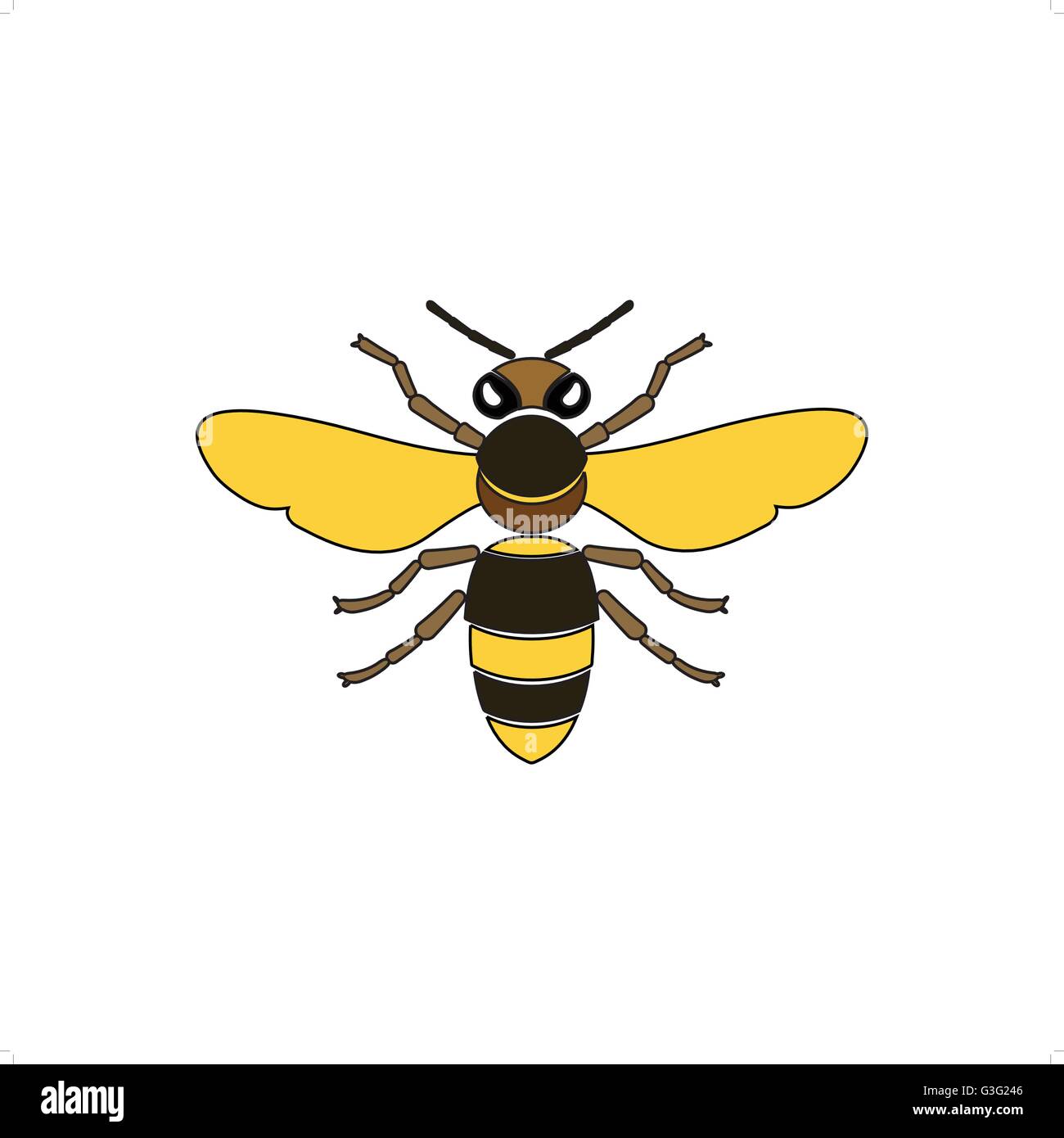 doux abeille bébé anniversaire animal dessin animé thème