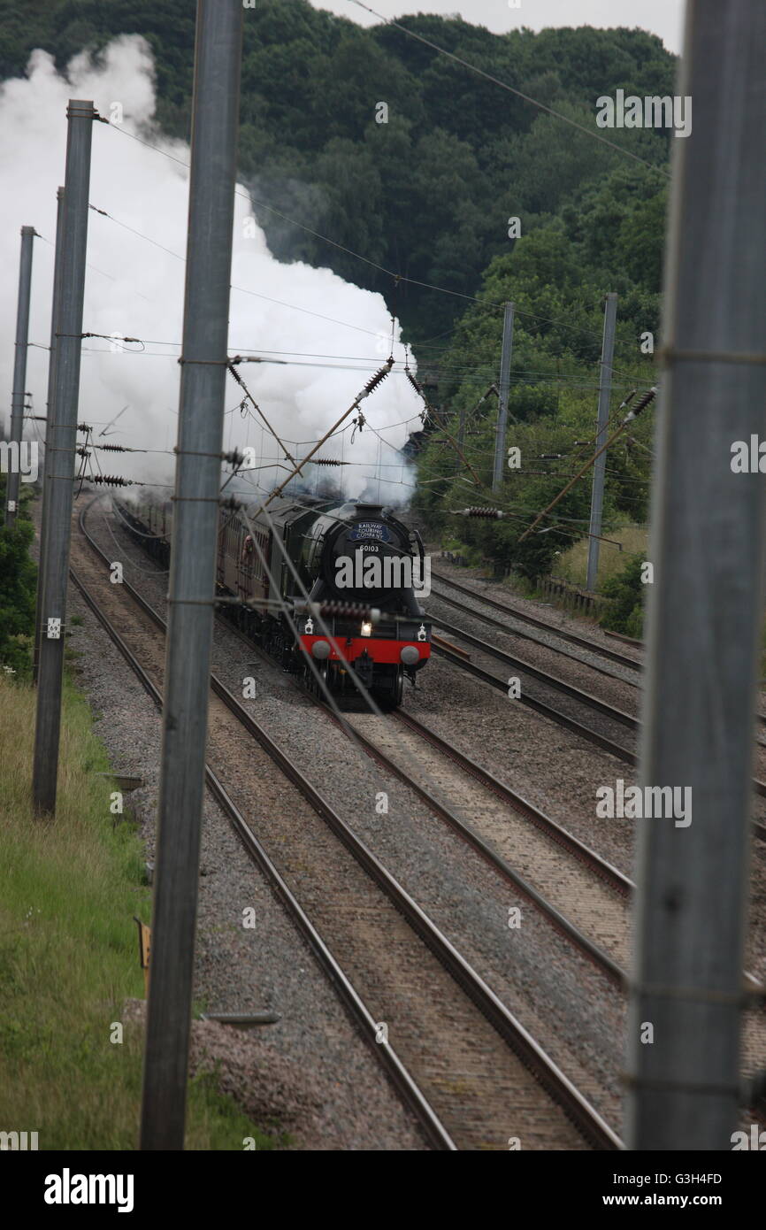 Pont ferroviaire de Millbrook, Bedfordshire, Royaume-Uni. 25 Juin, 2016. The Flying Scotman sur exécuter à partir de Londres, Victoria Station à New York. Le moteur de vapeur comme il se dirige vers le bas la ligne à Bedford Park. Crédit : Caroline hamilton/Alamy Live News Banque D'Images