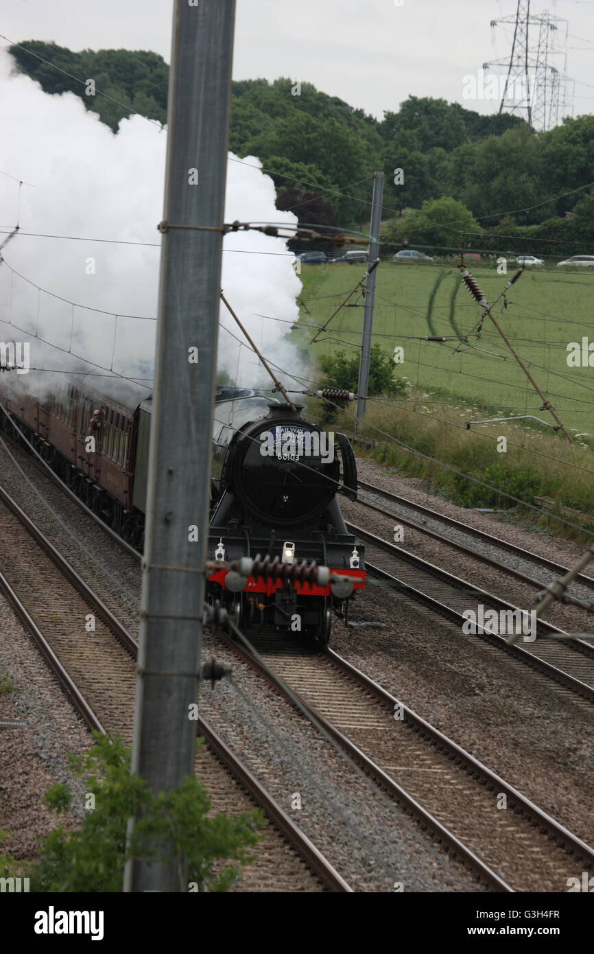 Pont ferroviaire de Millbrook, Bedfordshire, Royaume-Uni. 25 Juin, 2016. The Flying Scotman sur exécuter à partir de Londres, Victoria Station à New York. Le moteur de vapeur comme il se dirige vers le bas la ligne à Bedford Park. Crédit : Caroline hamilton/Alamy Live News Banque D'Images