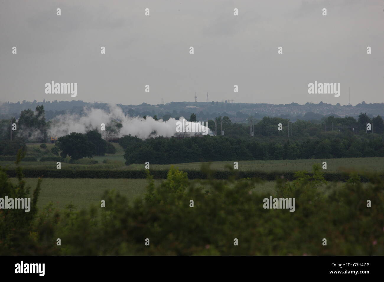 Pont ferroviaire de Millbrook, Bedfordshire, Royaume-Uni. 25 Juin, 2016. The Flying Scotman sur exécuter à partir de Londres, Victoria Station à New York. Le moteur de vapeur comme il se dirige vers le bas la ligne à Bedford Park. Crédit : Caroline hamilton/Alamy Live News Banque D'Images
