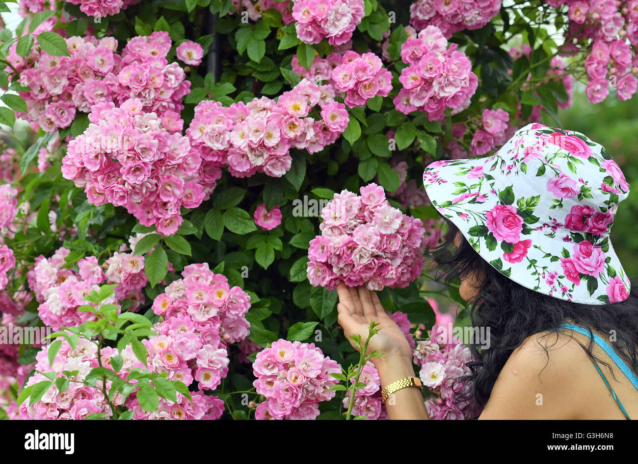 Sangerhausen Allemagne 25 Juin 2016 Un Visiteur De La