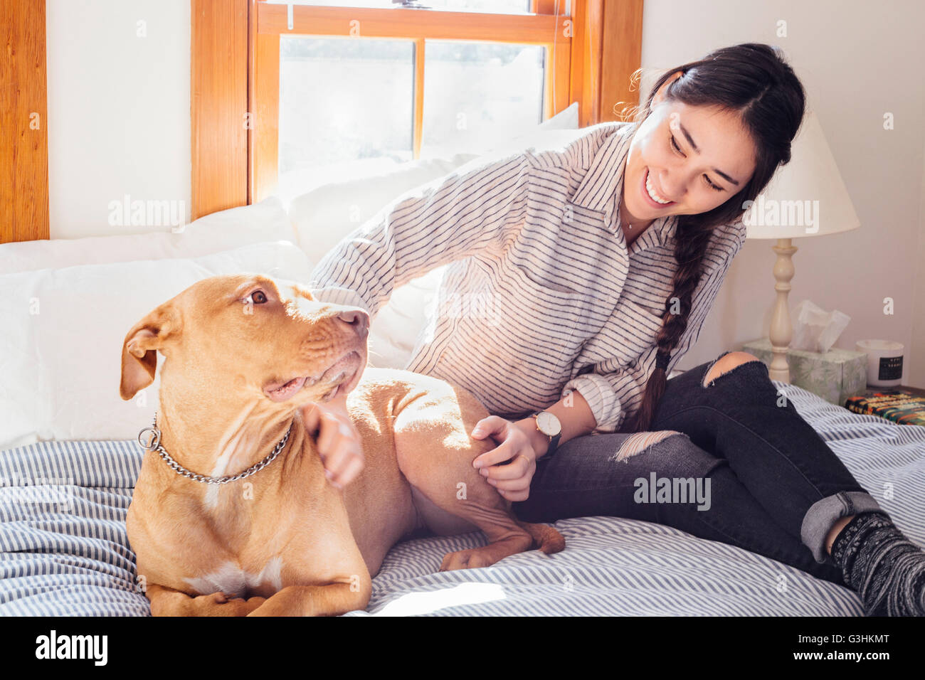 Woman stroking dog smiling Banque D'Images
