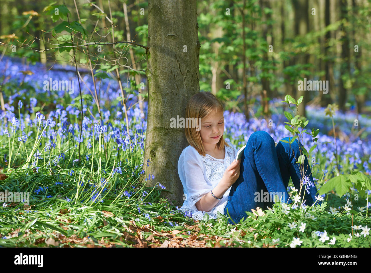 Girl leaning against tree en train de dessiner de bluebell forest, Hallerbos, Bruxelles, Belgique Banque D'Images