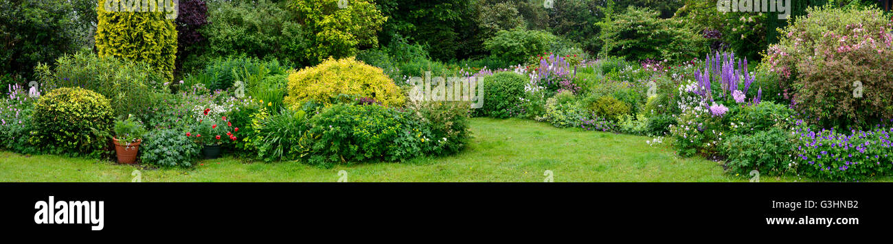 Un jardin anglais au début de l'été avec une abondance de plantes et de fleurs. Panorama cousus. Banque D'Images