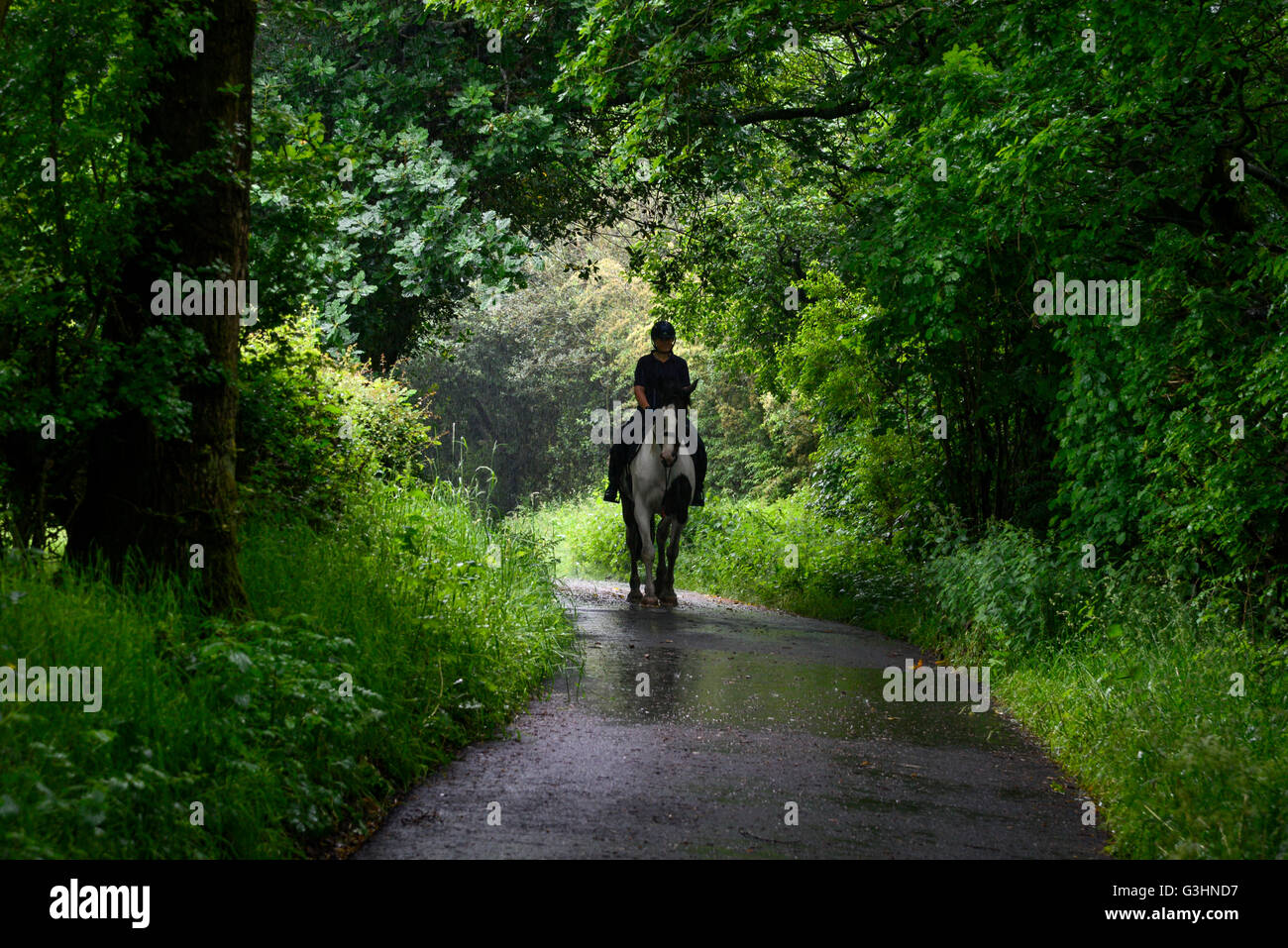 Horse Rider sur un chemin de campagne sur un jour d'été pluvieux. Banque D'Images