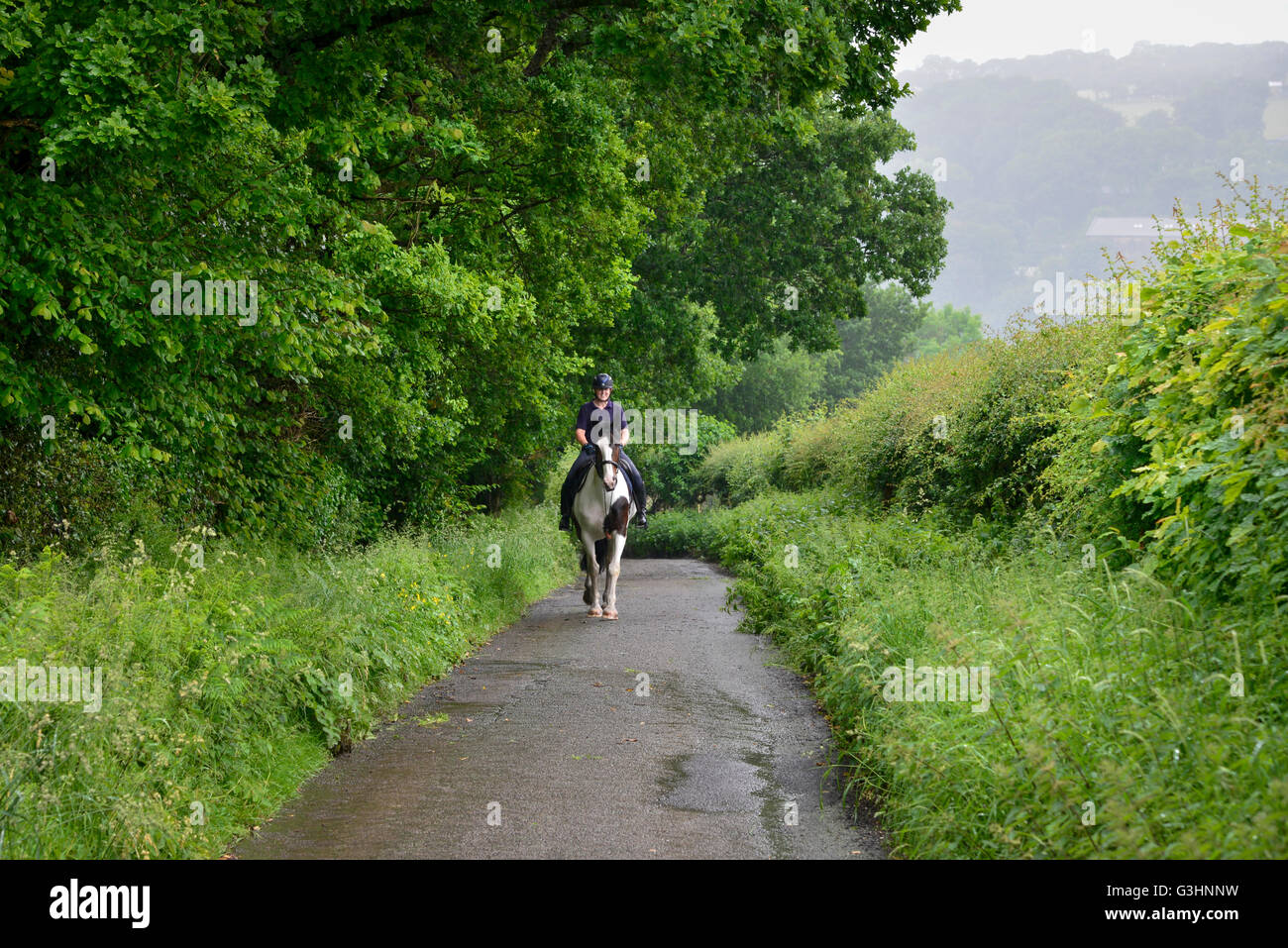 Horse Rider sur un chemin de campagne sur un jour d'été pluvieux. Banque D'Images