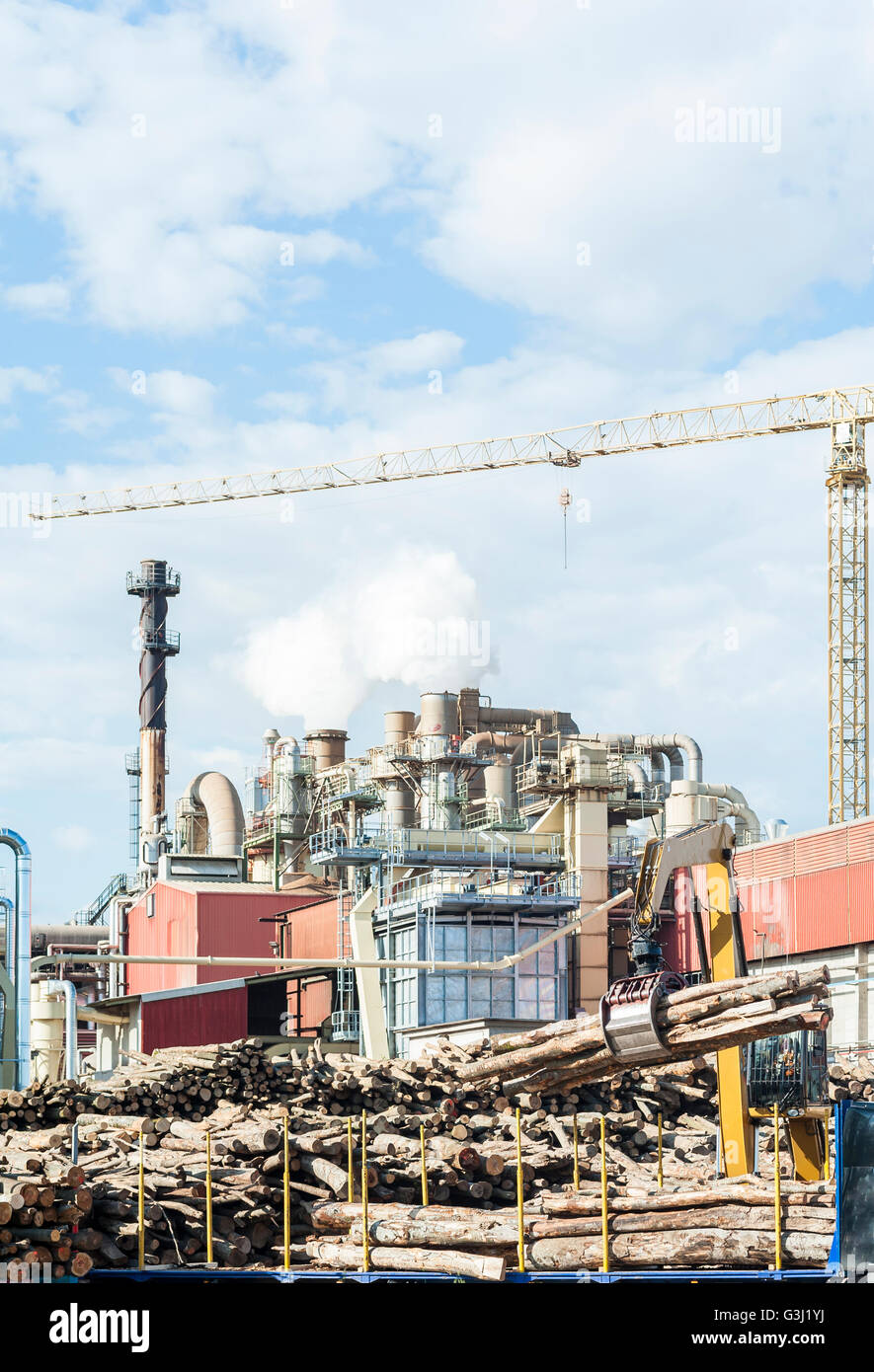 Les installations industrielles d'une usine de meubles avec cheminées,fumer,grue,tubes silos ,chariot et liaisons. Banque D'Images