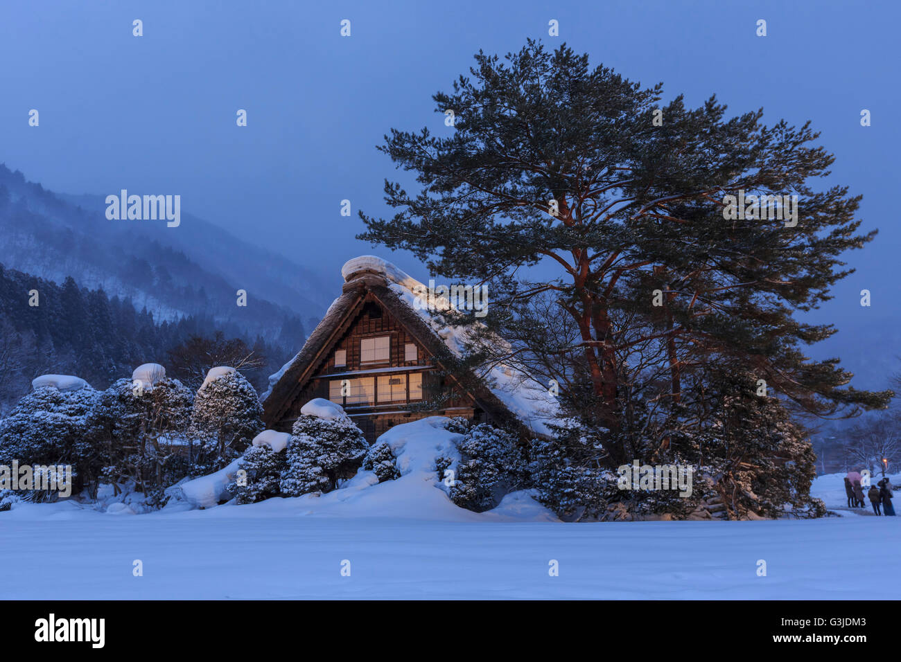 Villages historiques de Shirakawa-go en un jour de neige dans la nuit Banque D'Images