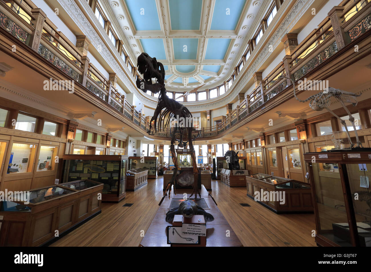 La vue de l'intérieur Musée Redpath à l'Université McGill. Montréal, Québec, Canada Banque D'Images