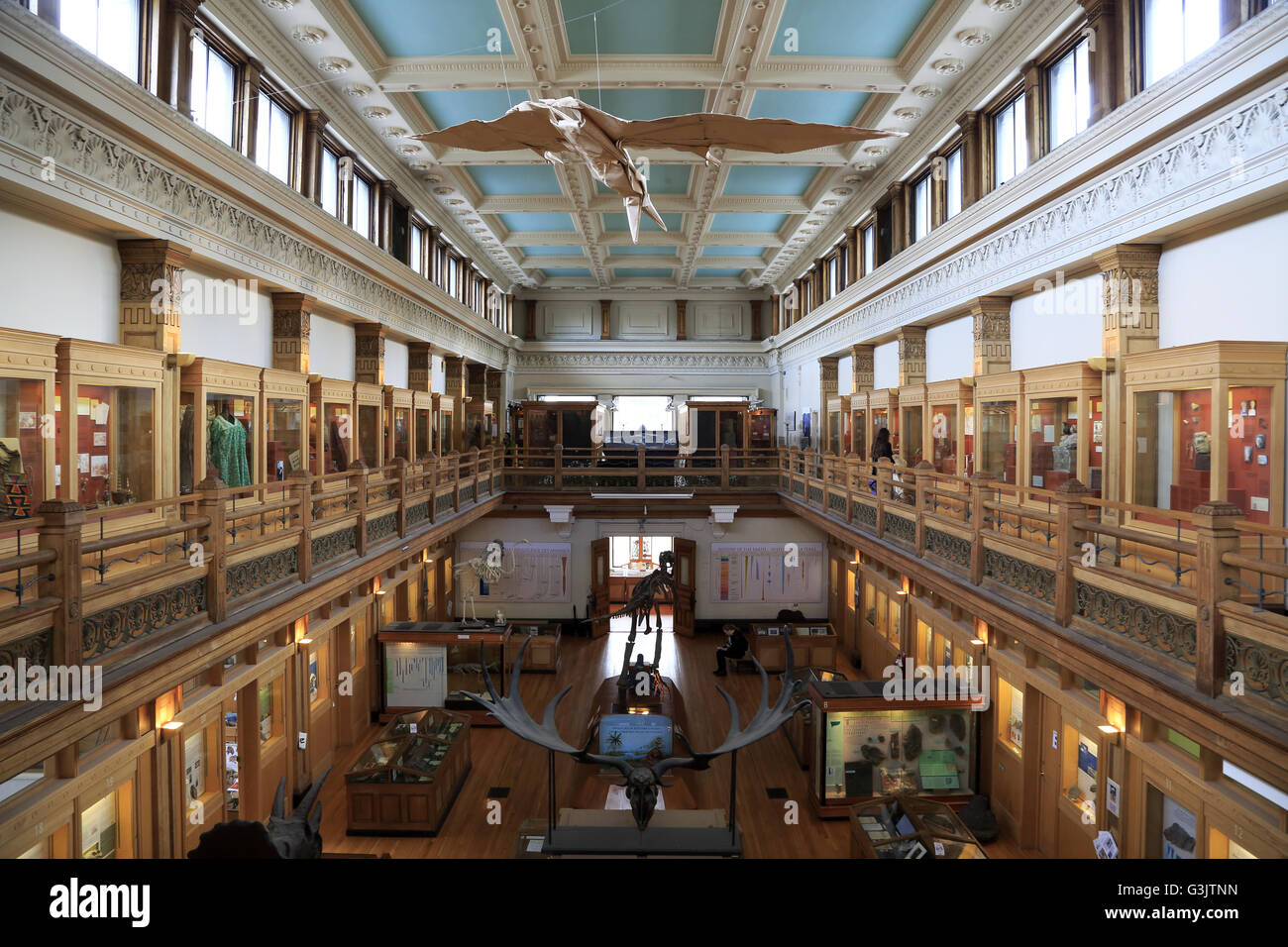 Vue de l'intérieur de Musée Redpath de l'Université McGill. Montréal. Le Québec. Canada Banque D'Images