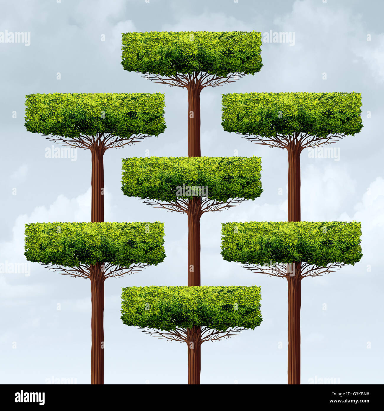La croissance de la structure de l'organisation comme un groupe d'arbres de plus en plus organisée dans une structure d'entreprise comme une métaphore de l'entreprise financière fo Banque D'Images