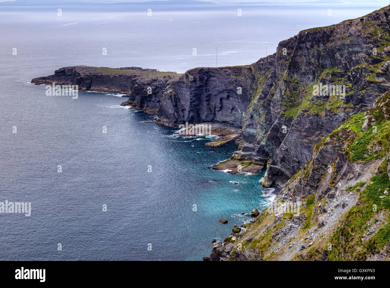 L'île de Valentia, Fogher falaises, Iveragh, Skellig Ring, Kerry, Irlande, Europe Banque D'Images