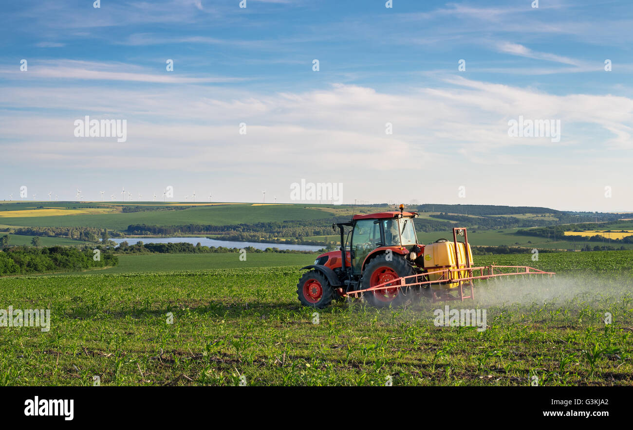 La pulvérisation d'insecticide à des machines agricoles de la zone verte, l'agriculture saisonnière printemps naturel contexte Banque D'Images