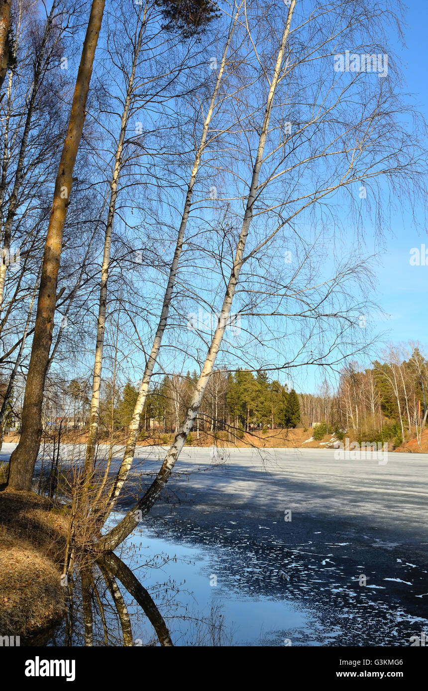 Au début du printemps en Russie centrale au cours du mois de mars Banque D'Images