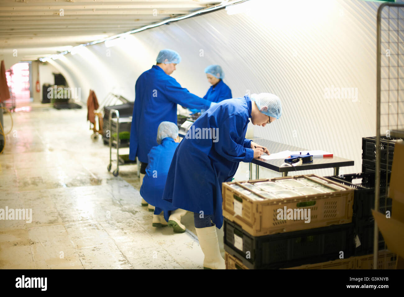 Travailleurs portant des combinaisons et des filets à cheveux travaillant sur la ligne de production Banque D'Images