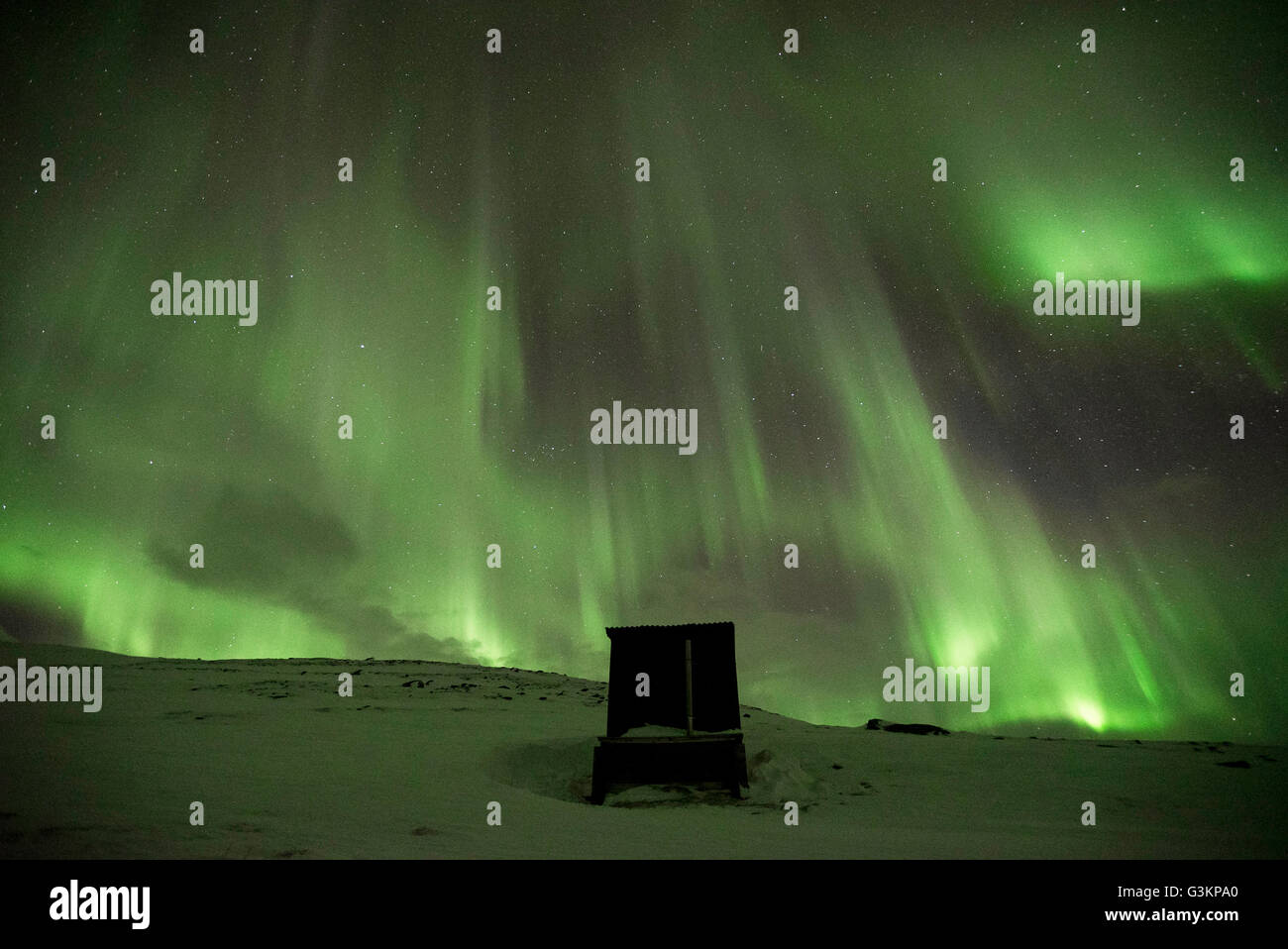 Northern Lights, Abisko (Suède) Banque D'Images