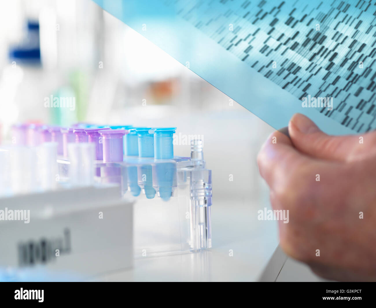 La tenue d'un chercheur de l'acide désoxyribonucléique (ADN) gel pendant une expérience génétique dans un laboratoire Banque D'Images