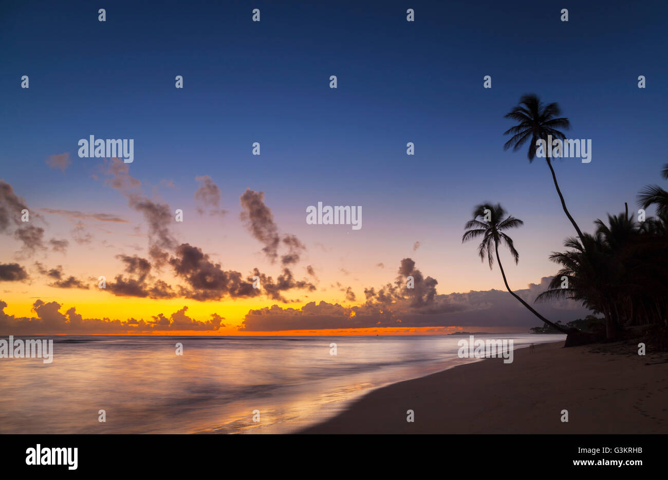 La silhouette du coucher de soleil avec des palmiers sur la plage, la République dominicaine, les Caraïbes Banque D'Images