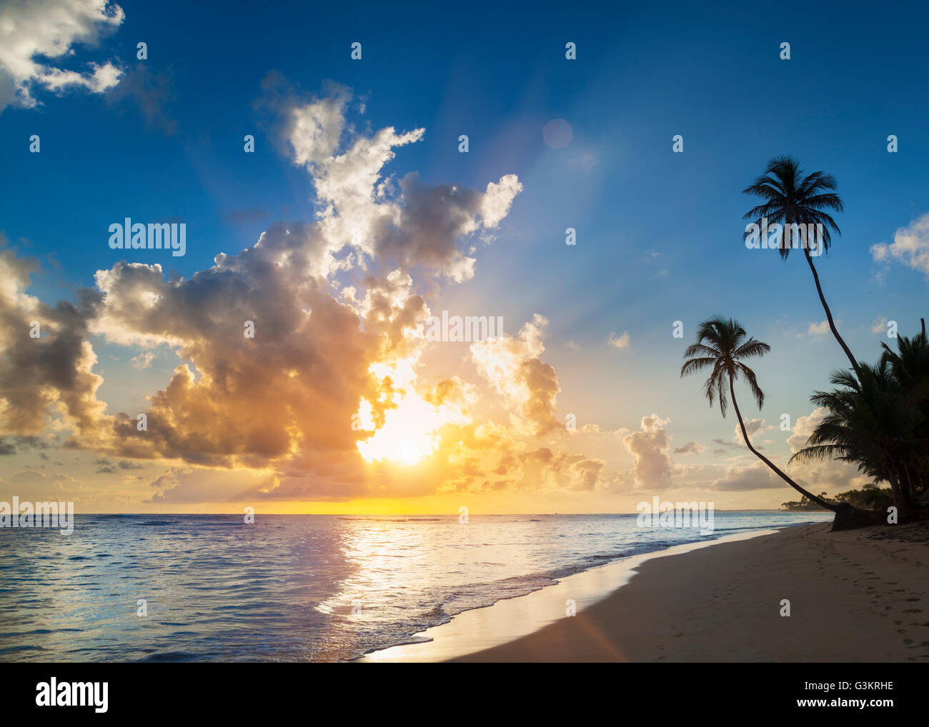 La silhouette de palmiers sur la plage au coucher du soleil, la République dominicaine, les Caraïbes Banque D'Images