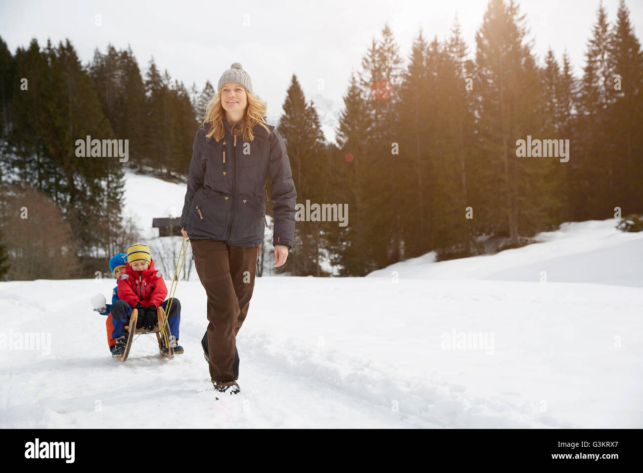 Woman pulling fils sur toboggan dans la neige paysage, Elmau, Bavière, Allemagne Banque D'Images