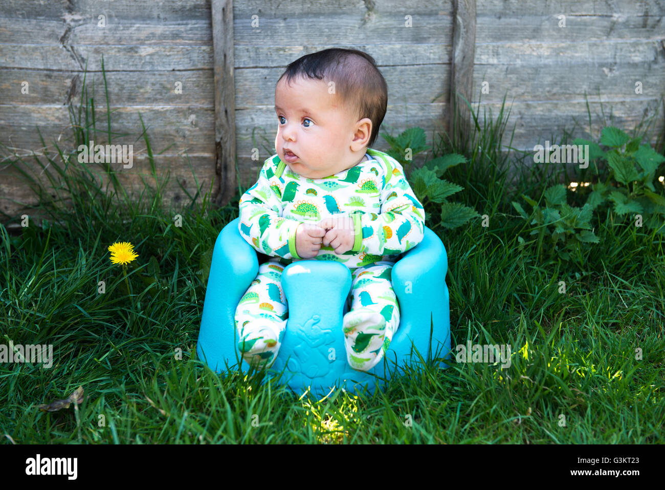 Portrait of cute baby boy sitting in garden sur le support du siège bébé Banque D'Images