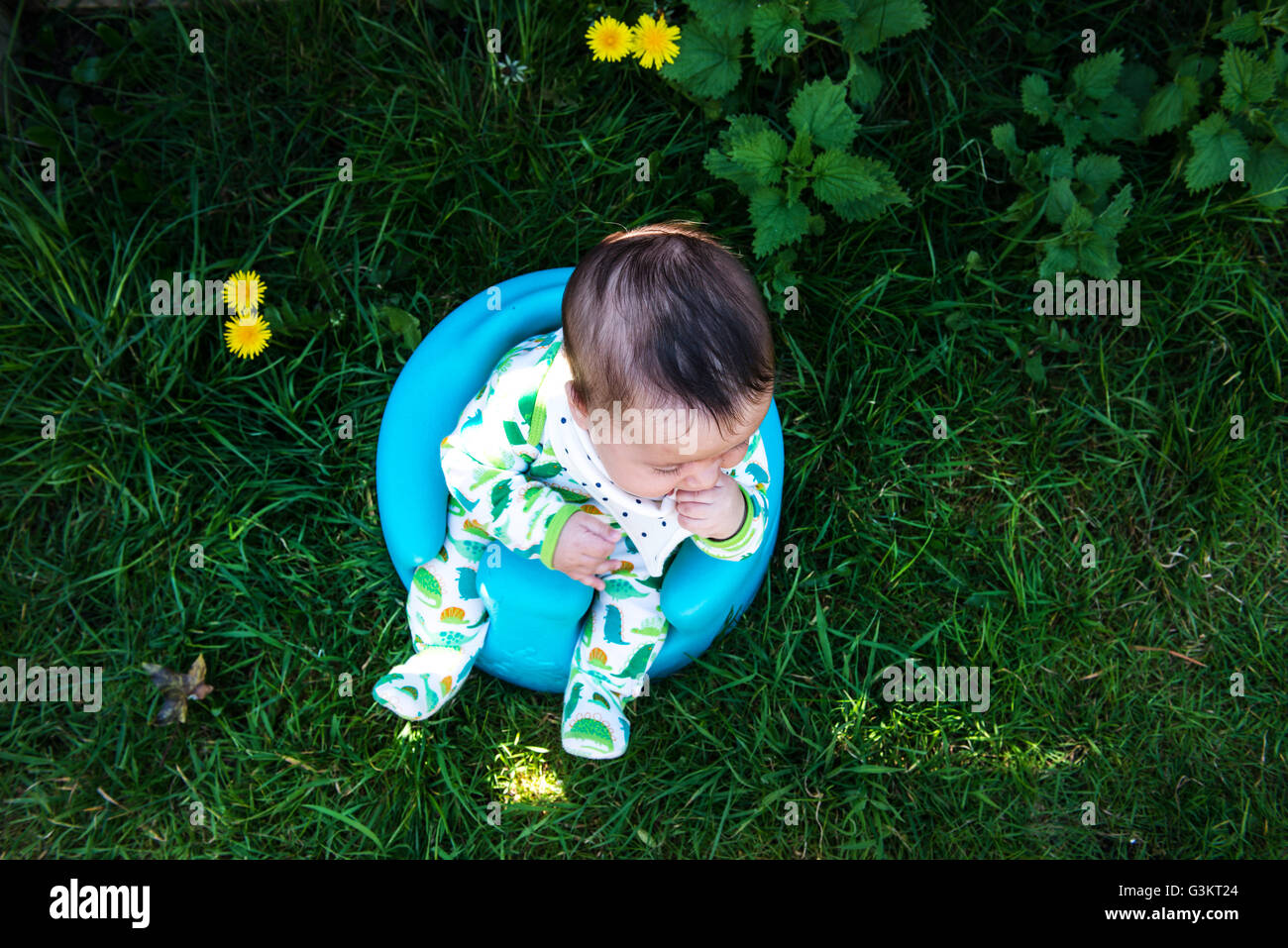 Vue de dessus de baby boy sitting in garden sur le support du siège bébé Banque D'Images