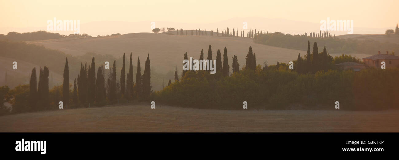 Vue panoramique paysage de collines dans la brume, Toscane, Italie Banque D'Images