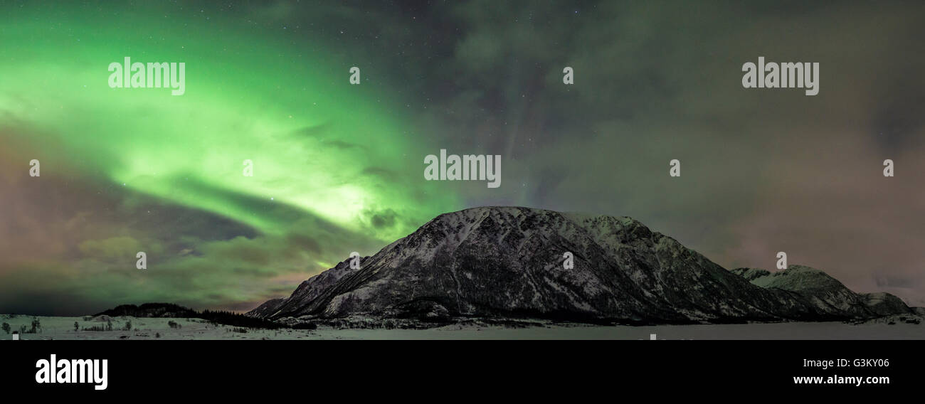 Northern Lights ou aurore boréale, Laukvik, Austvågøy, Lofoten, Norvège Banque D'Images