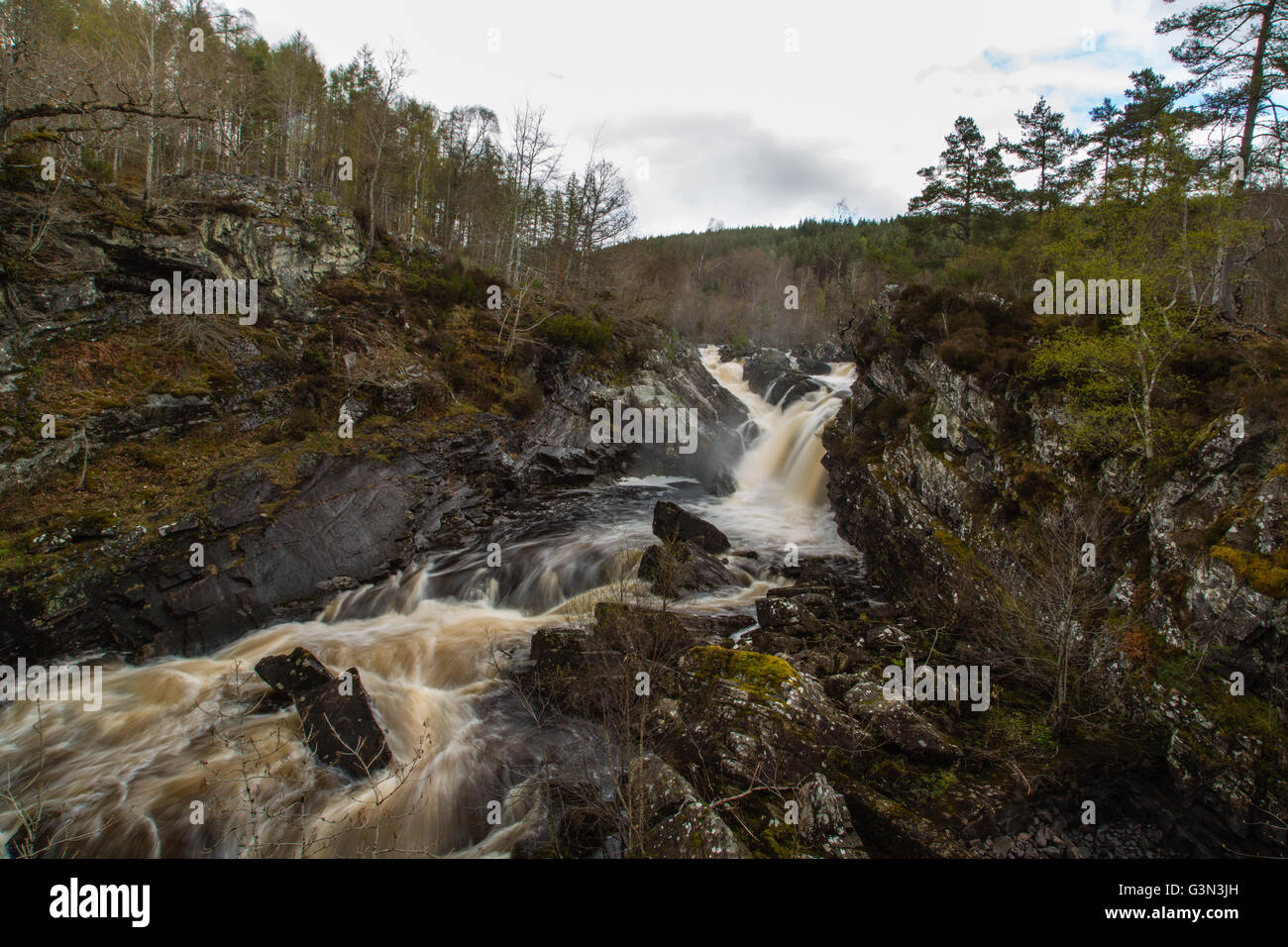 Rogie tombe, Ecosse Banque D'Images