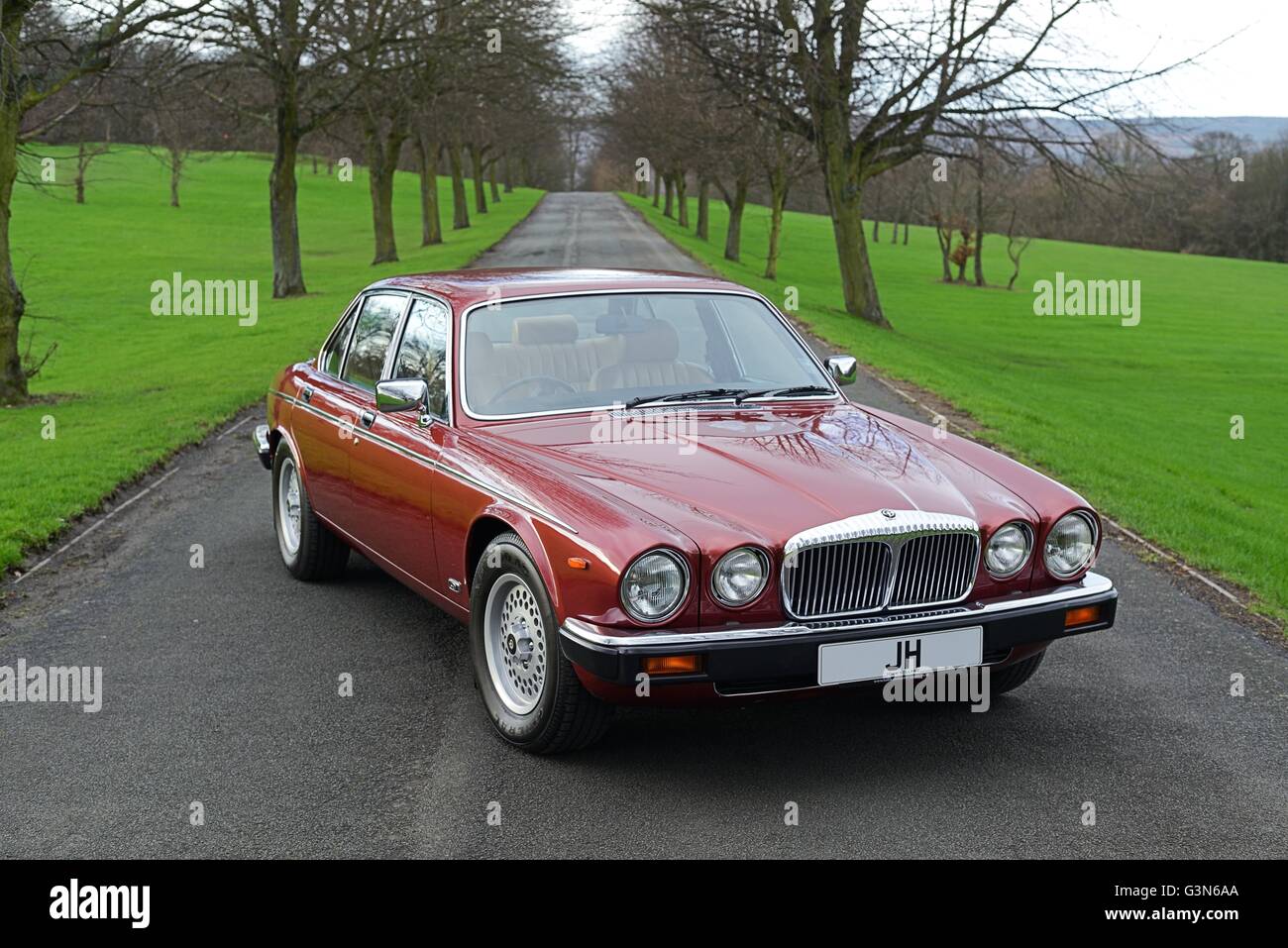 Une Jaguar XJ6 tricorps debout sur une avenue bordée d'arbres Banque D'Images