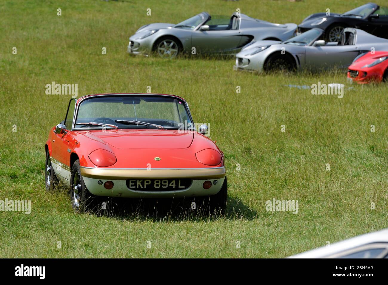 Lotus Elan garé sur l'herbe lors d'une journée ensoleillée d'été lors d'un spectacle de voiture classique dans le Derbyshire, avec beaucoup d'Exige derrière Banque D'Images