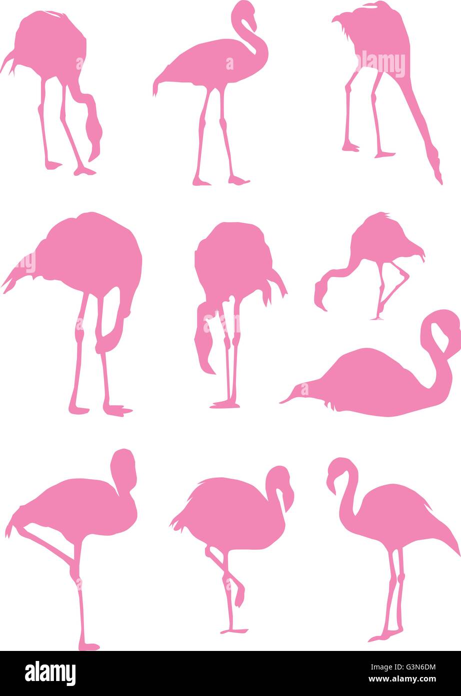 Vector illustration de silhouettes oiseaux flamingo Illustration de Vecteur