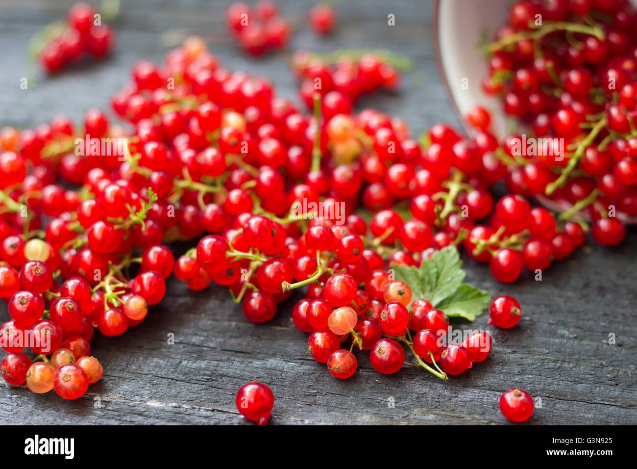Les baies de groseilles Banque D'Images
