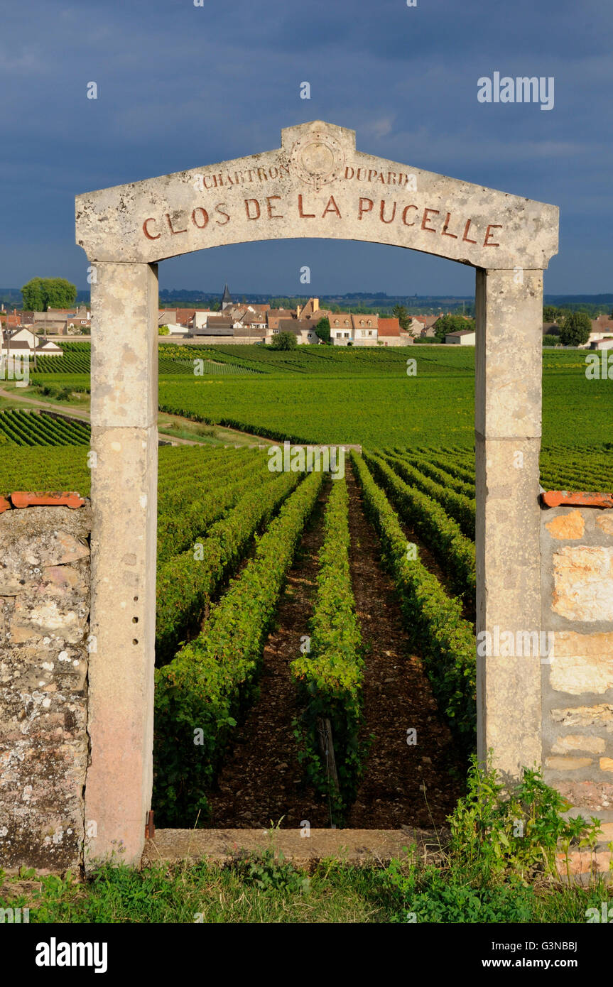 Portail de l'Clos de la Pucelle, Puligny Montrachet, Cote d'Or, Bourgogne, France, Europe Banque D'Images