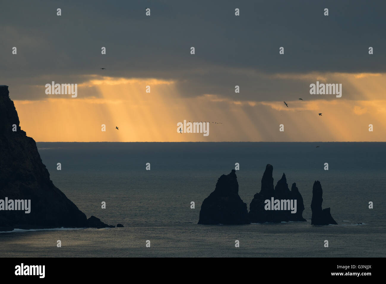 L'humeur des pluies, Reynisdrangar, près de Vik, Région du Sud, Islande Banque D'Images L'humeur des pluies, Reynisdrangar, près de Vik, Région du Sud, Islande Banque D'Images