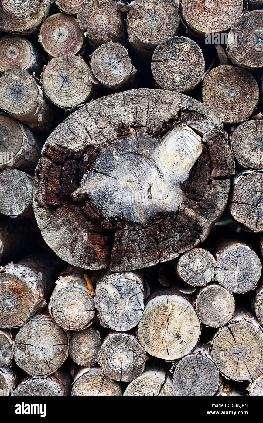 Pile de bois Banque D'Images