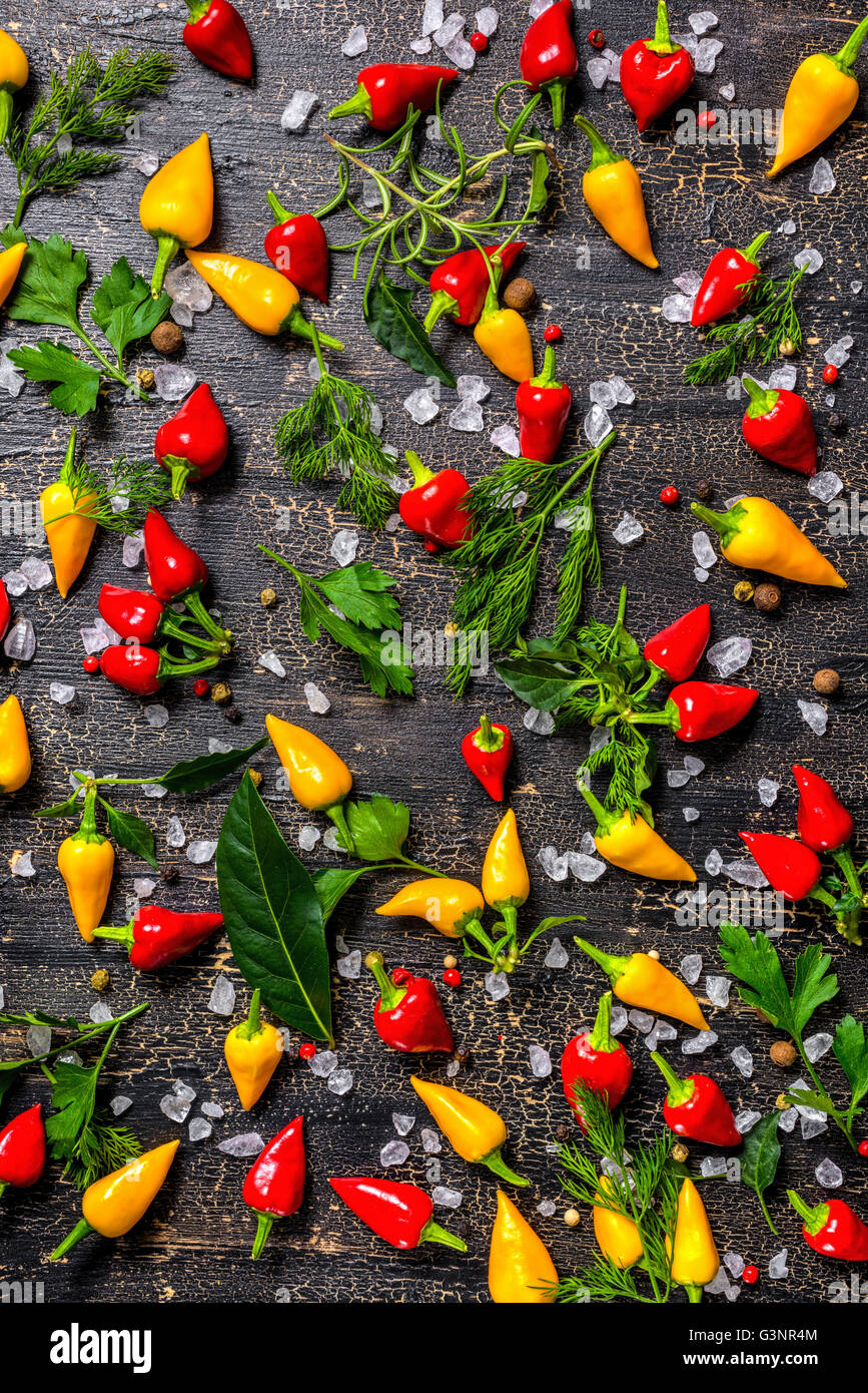 Mise à plat des objets d'épices, Piments secs, sel de mer, verdure différentes fissures sur fond noir, Close up Banque D'Images