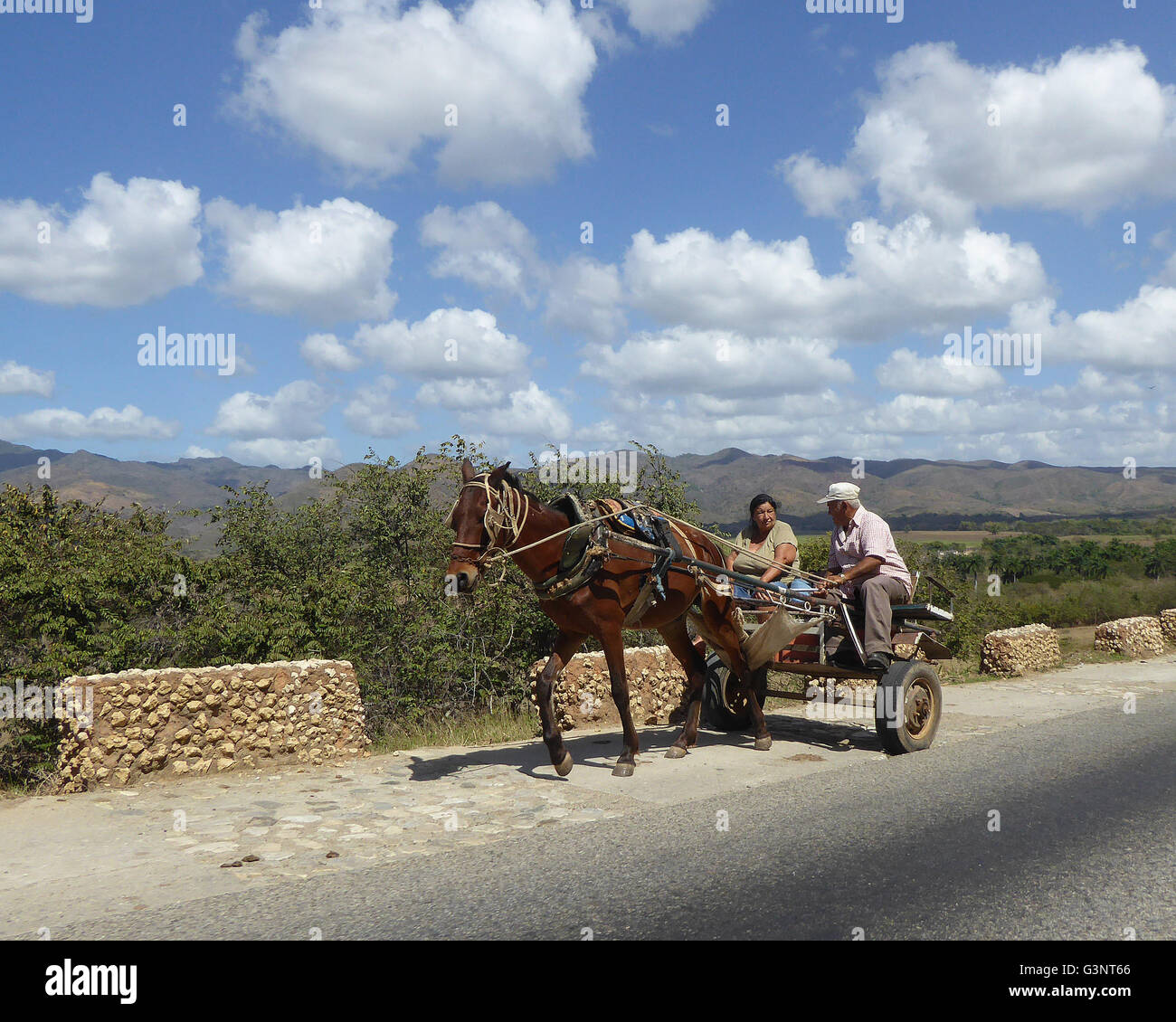 Cuba 2015 transport chevaux Banque D'Images