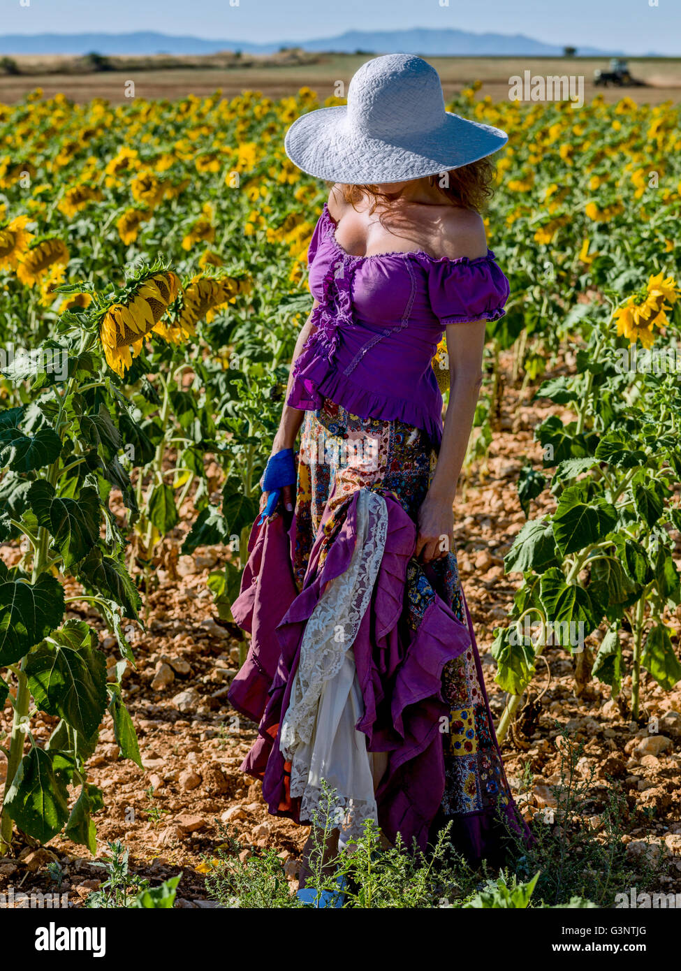 Woman with hat dans un champ de tournesols Banque D'Images