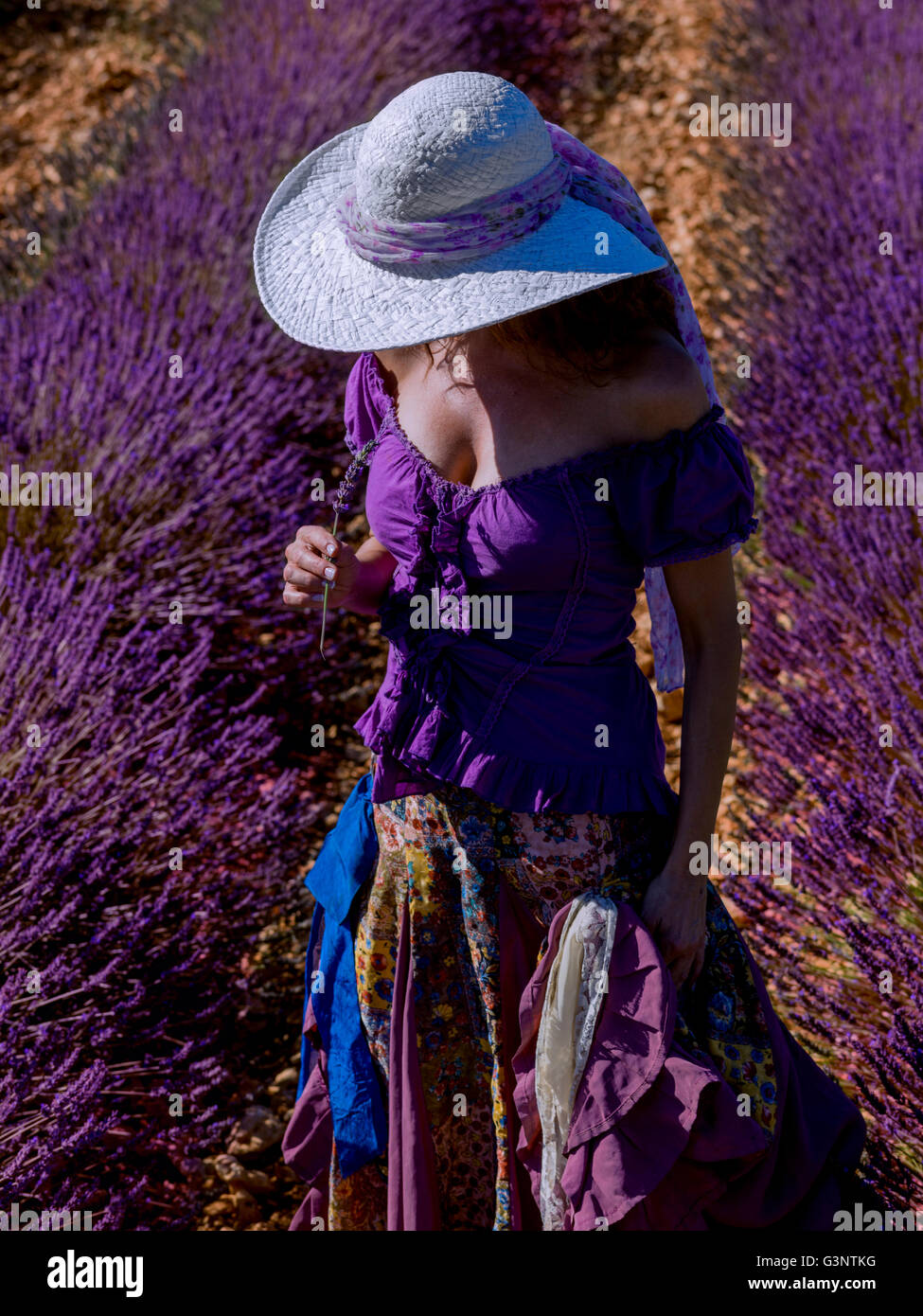 Woman with hat dans un champ de lavande Banque D'Images