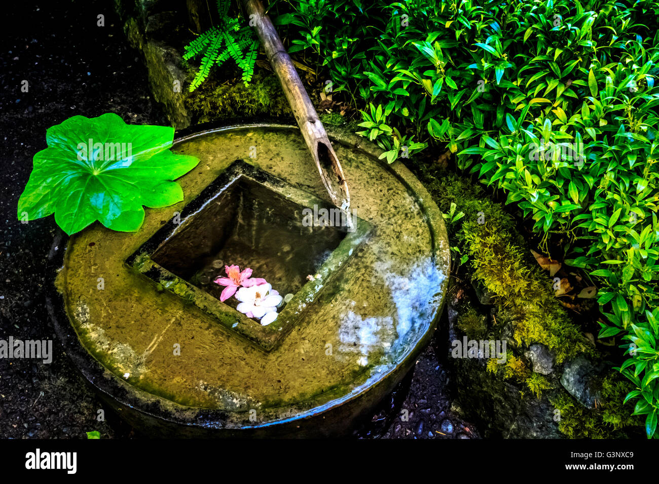 Bassin d'eau en pierre de purification rituelle Banque D'Images