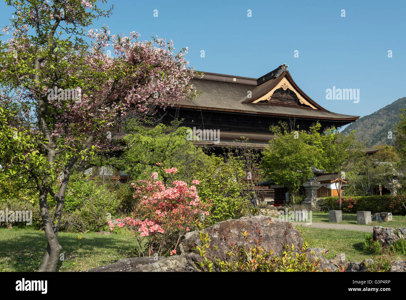 Zenko-ji (temple Zenkoji) Jardins, Nagano, Japon Banque D'Images