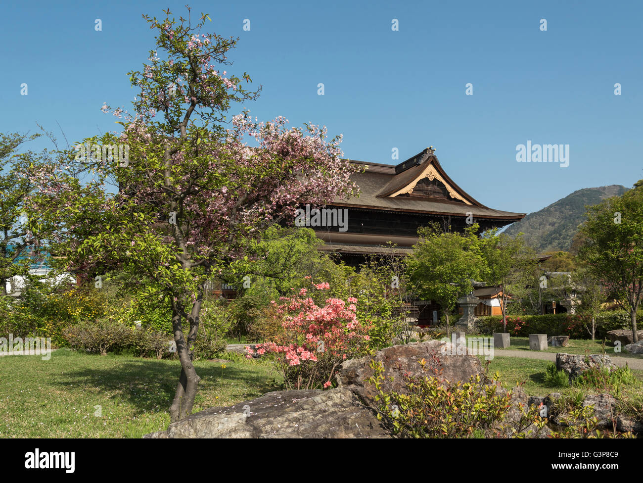 Zenko-ji (temple Zenkoji) Jardins, Nagano, Japon Banque D'Images