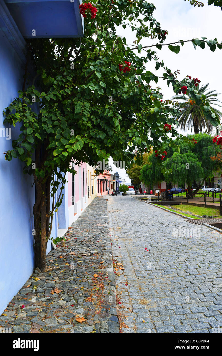 Rue Pavée historique dans la ville coloniale de Colonia del Sacramento, Uruguay. Banque D'Images