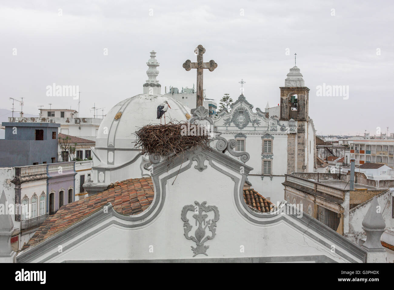 Dans le nid de cigognes sur le toit d'une église, Olhao, Faro, Algarve, Portugal, Europe, UNION EUROPÉENNE Banque D'Images