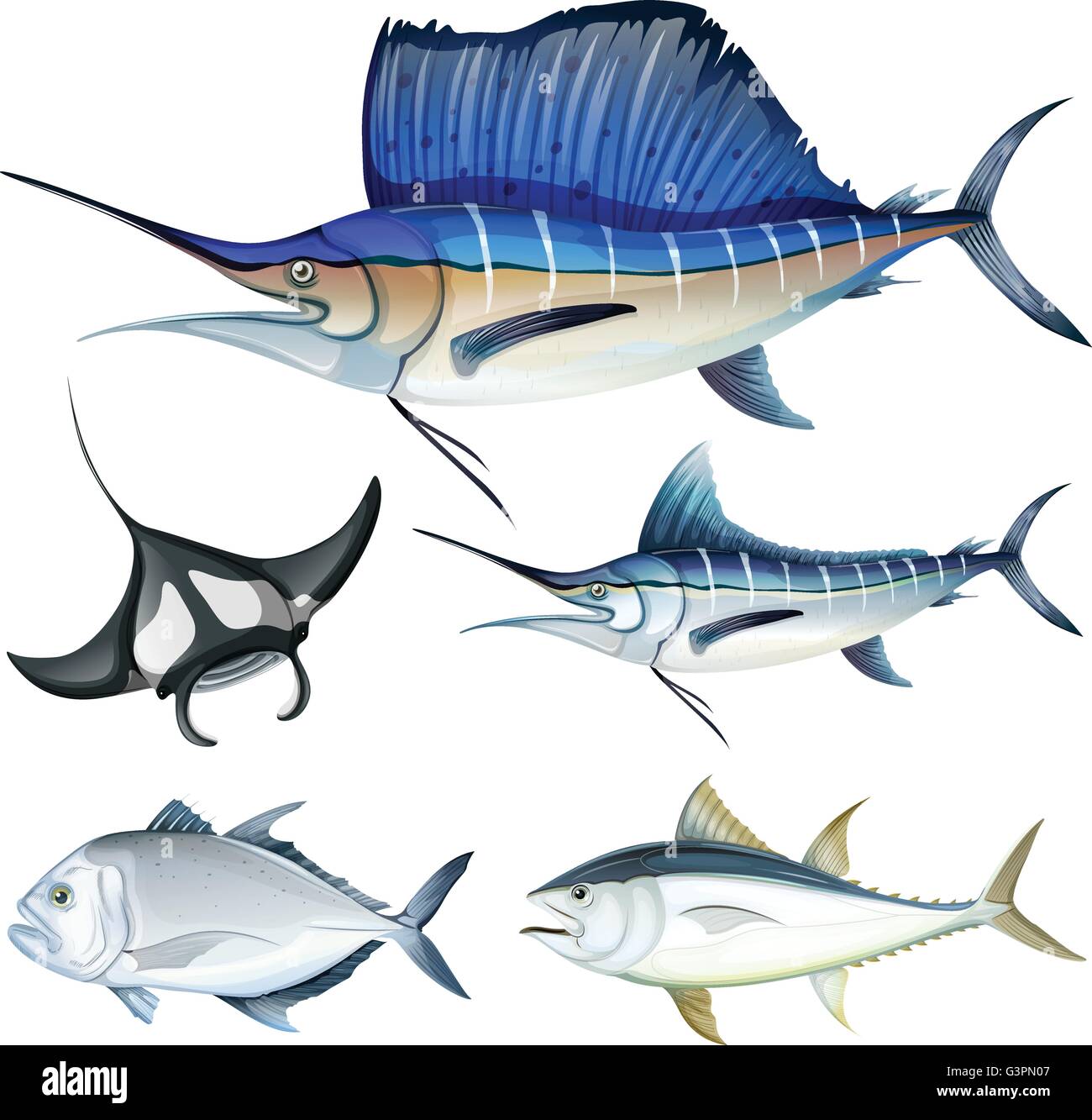 Different Poisson Poissons vivant Banque d'images vectorielles - Alamy