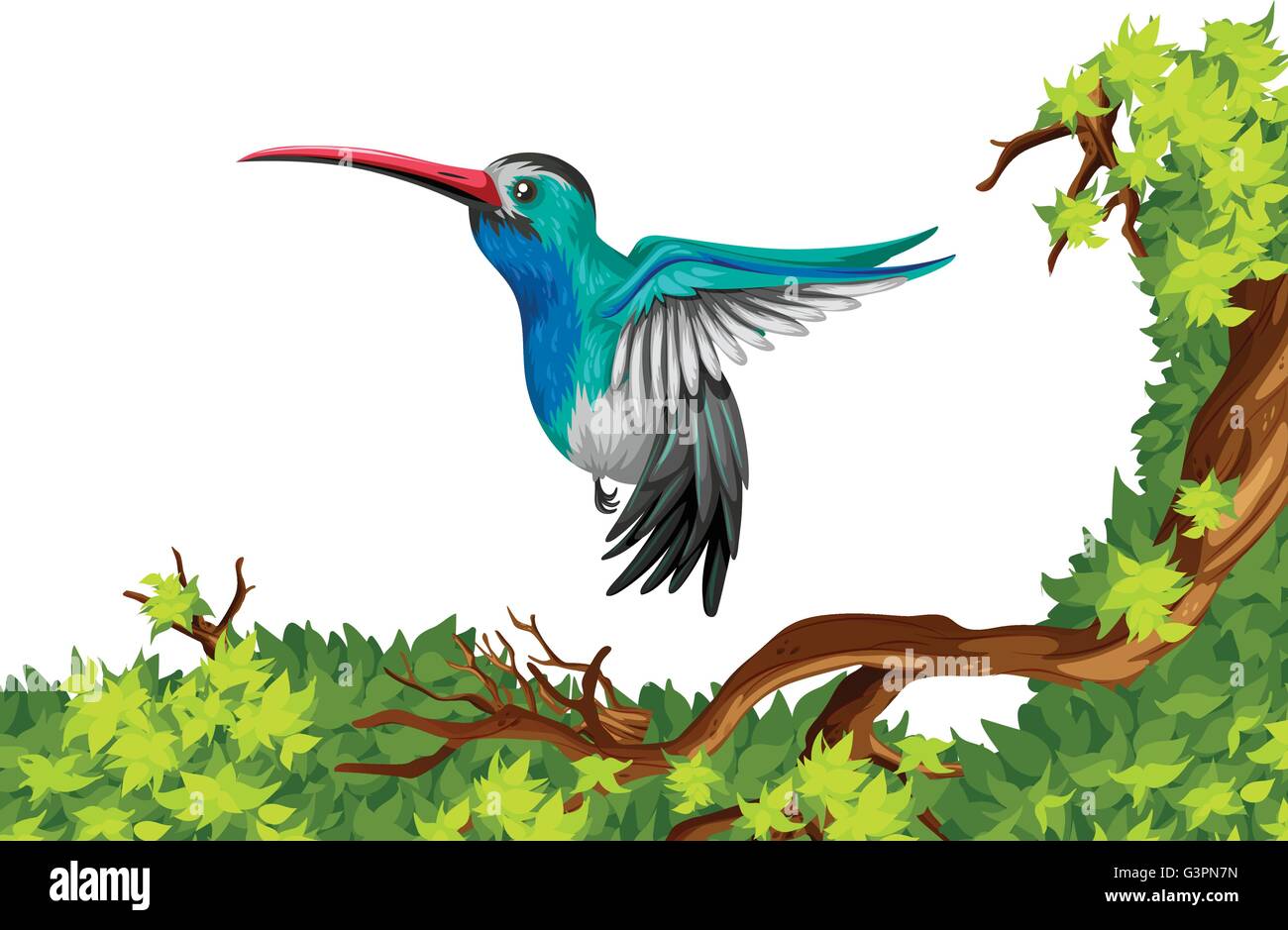 Humming Bird flying sur l'illustration de la direction générale Illustration de Vecteur