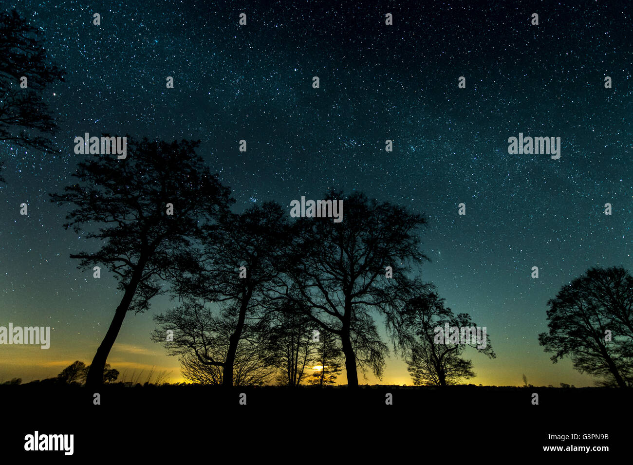 Ciel de nuit sur terre, oldenburger Niedersachsen, Allemagne Banque D'Images